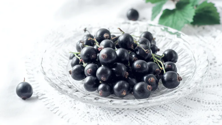 Ингредиент: Черная смородина