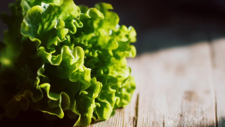 Ингредиент: Листья латука