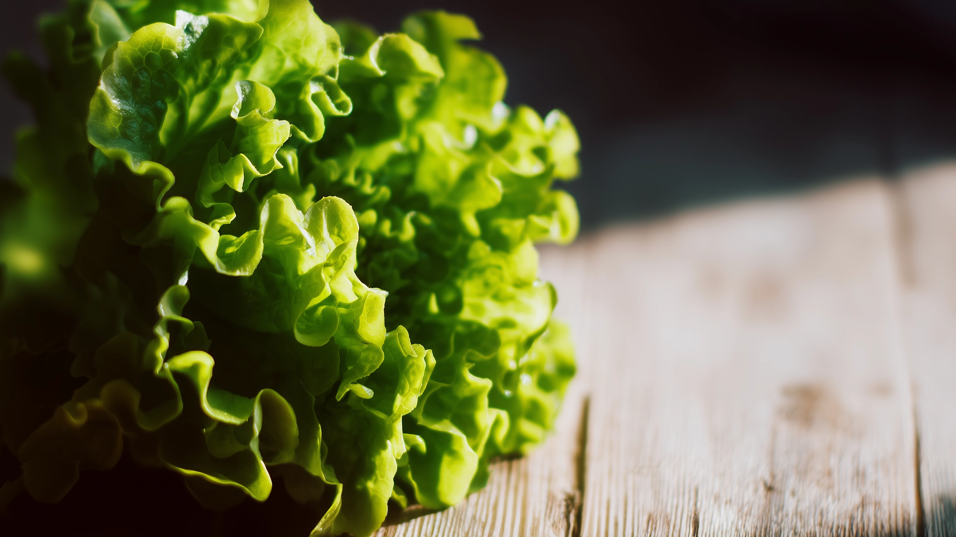 Листья латука