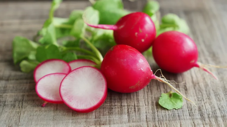 Ингредиент: Редис