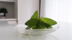 Мята (Свежая)