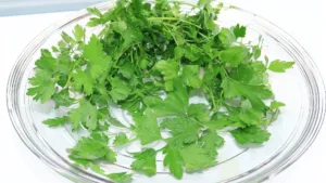 Петрушка (Свежая)