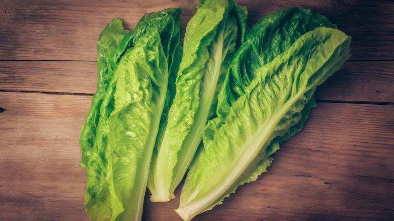 Ингредиент: Салат Романо