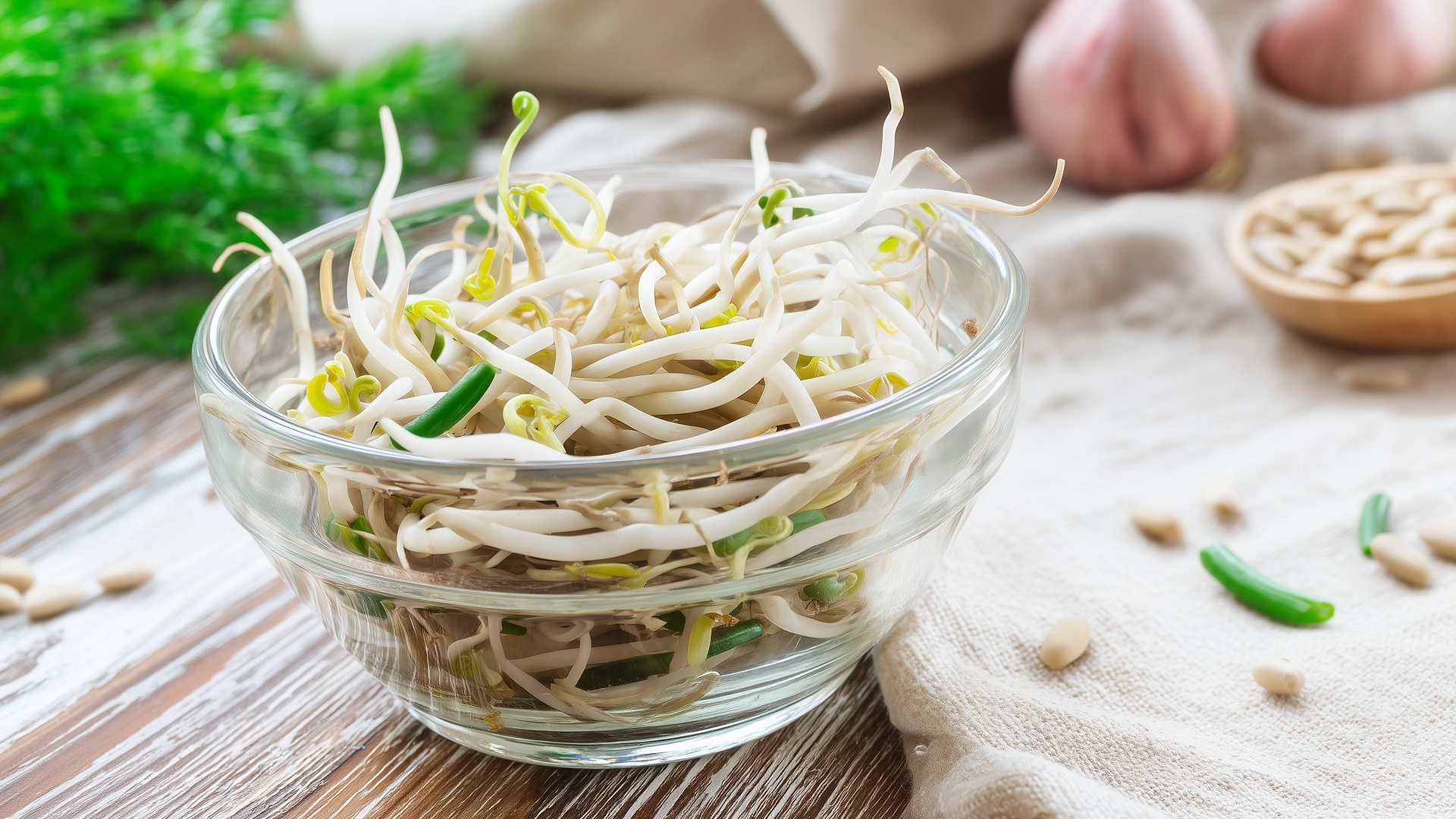 Фасолевые ростки