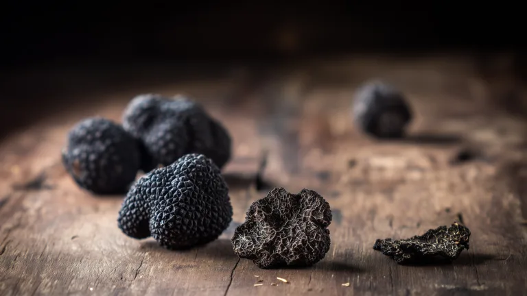 Ингредиент: Трюфель