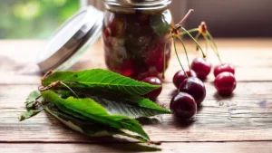 Лист вишнёвый