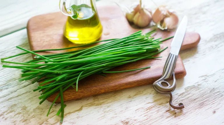 Ингредиент: Шнитт-лук