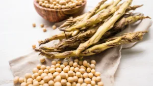 Спаржа соевая