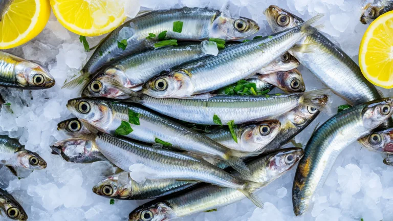 Ингредиент: Хамса