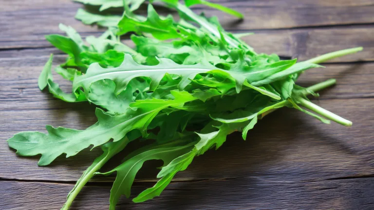 Ингредиент: Рукола