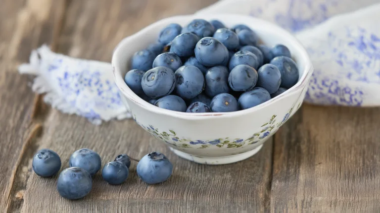 Ингредиент: Черника