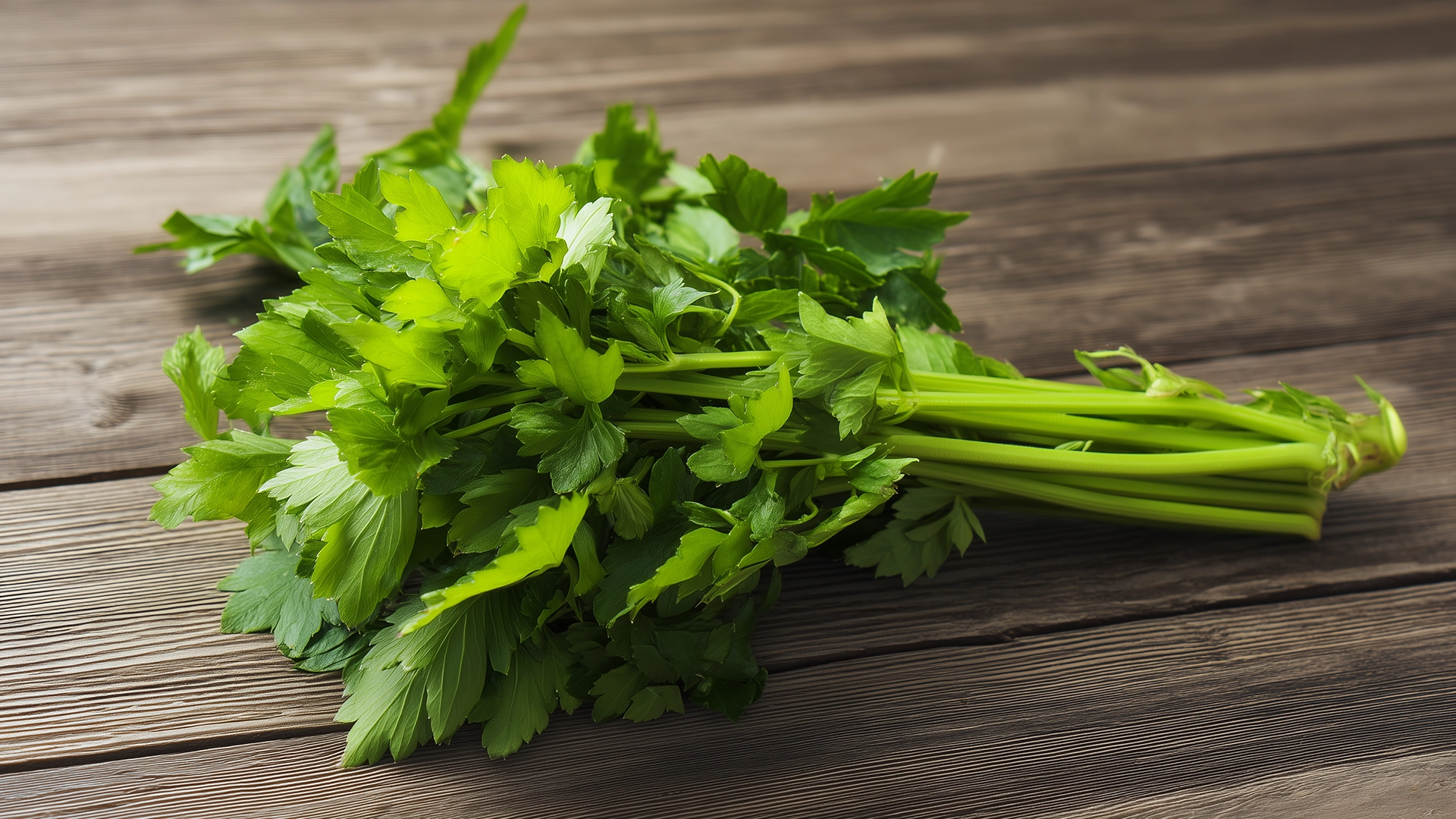 Сельдерей листовой