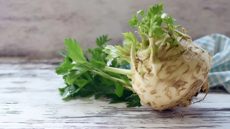 Ингредиент: Сельдерей корневой