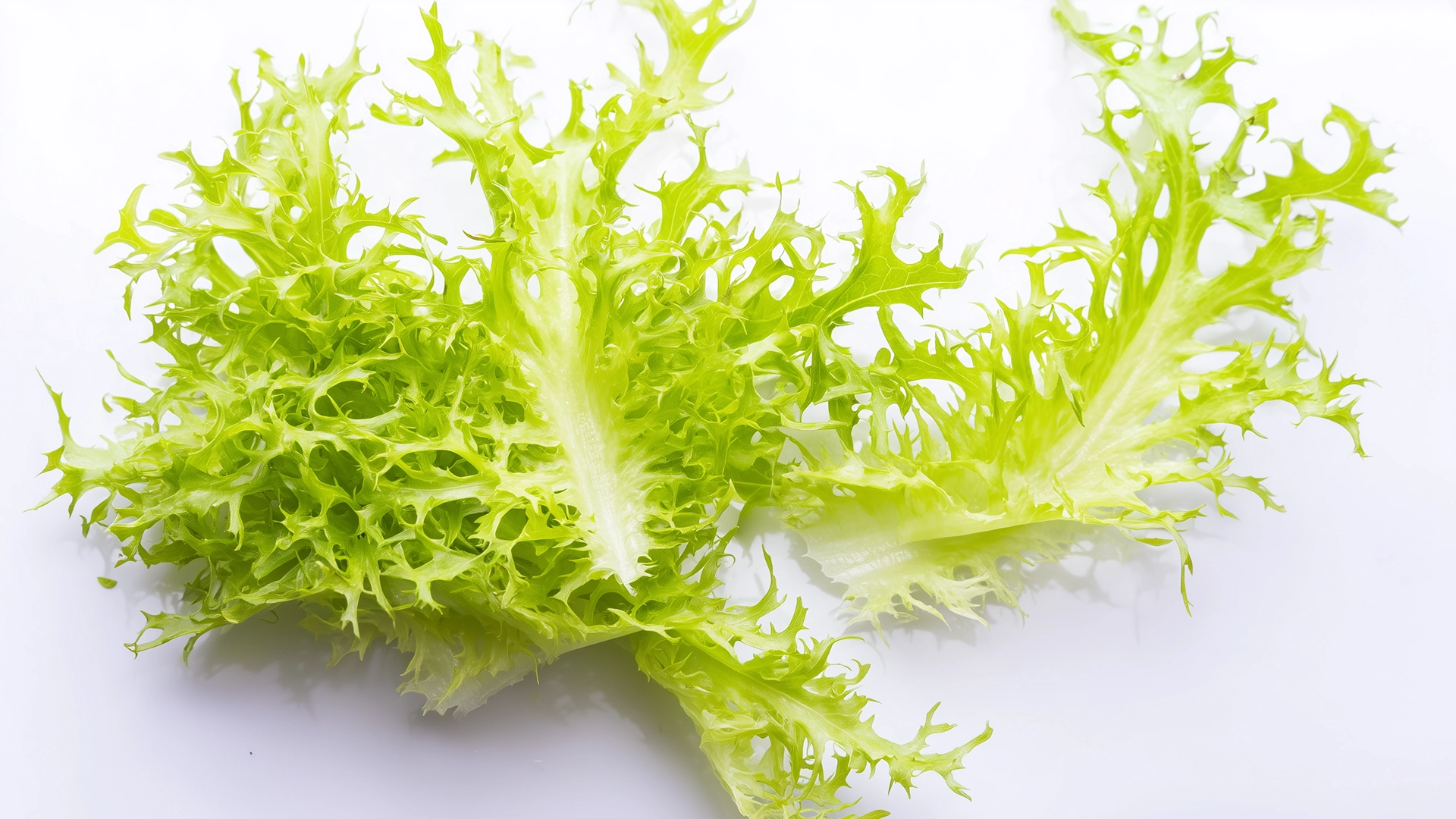 Фото ингредиента: Фризе