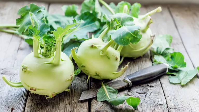 Ингредиент: Капуста кольраби