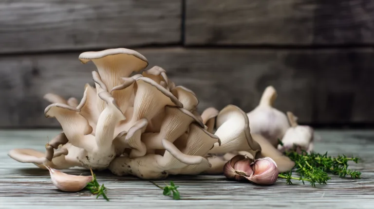 Ингредиент: Вешенки