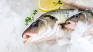 Окунь речной