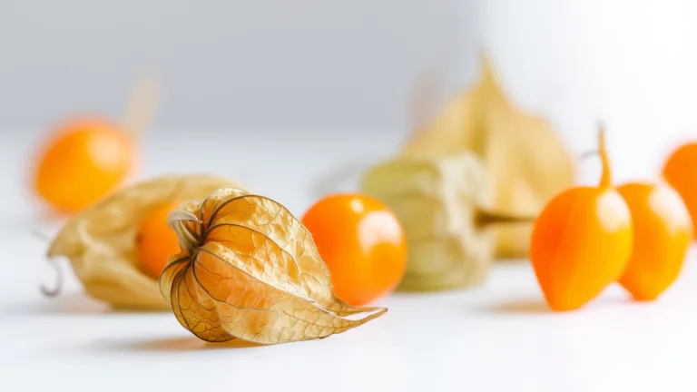 Ингредиент: Физалис