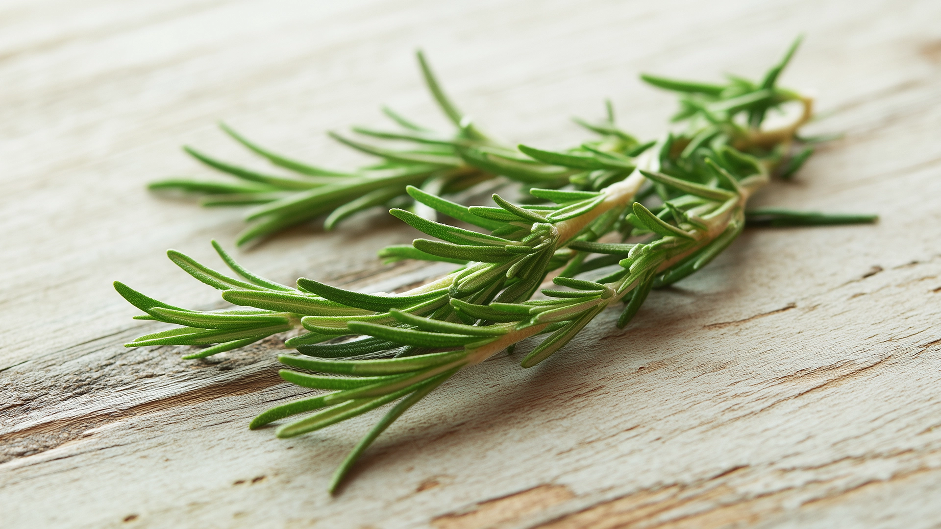 Фото ингредиента: Розмарин (Свежий)