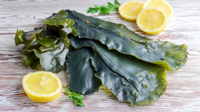 Ингредиент: Капуста морская