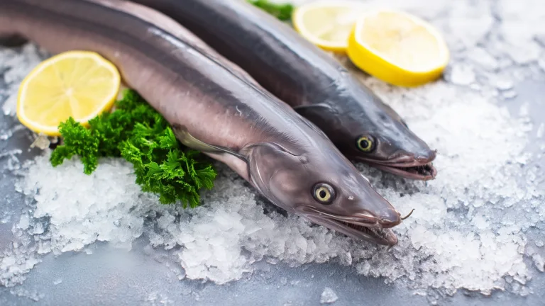 Ингредиент: Стерлядь