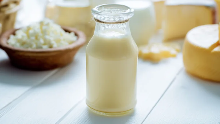 Ингредиент: Сыворотка