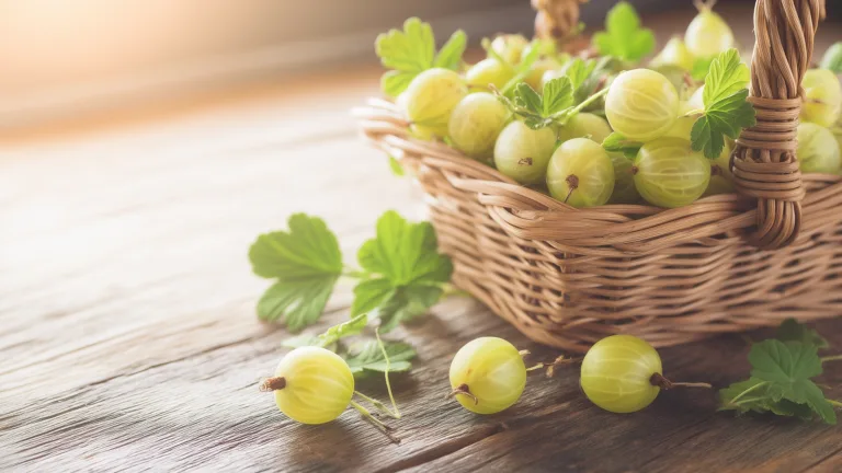 Ингредиент: Крыжовник