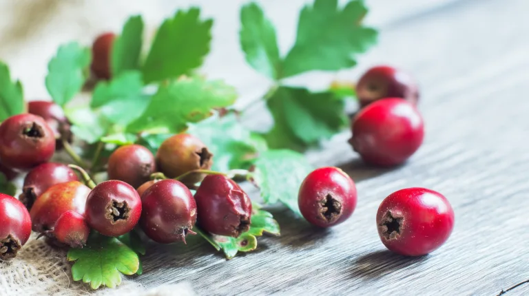 Ингредиент: Боярышник