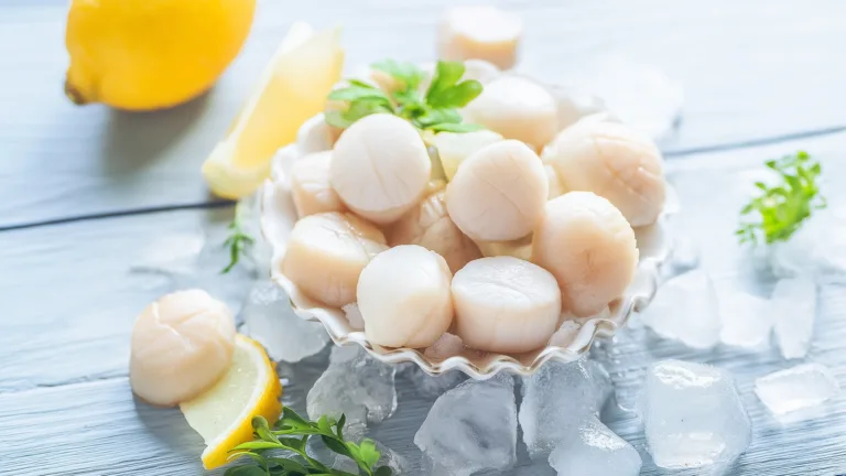 Ингредиент: Гребешок