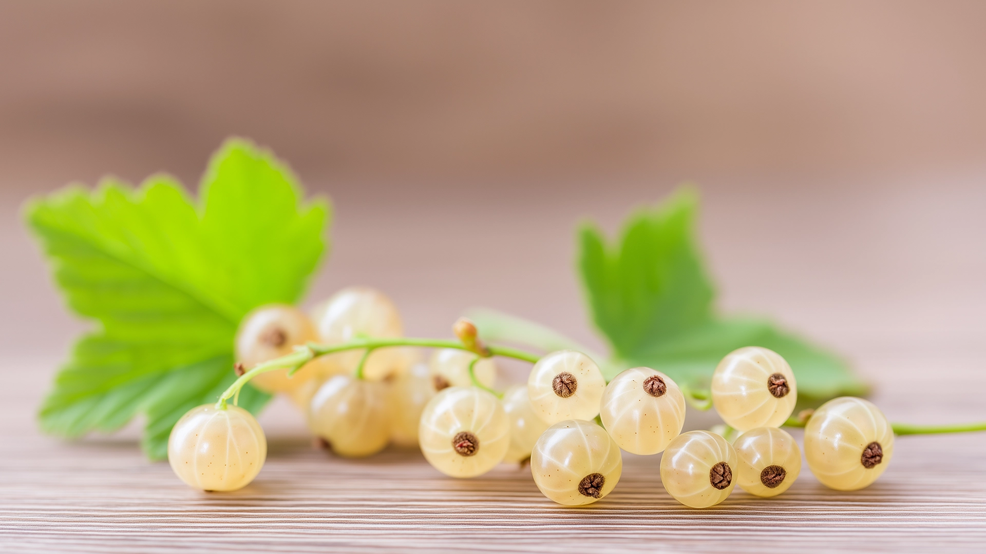 Фото ингредиента: Смородина белая