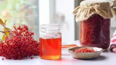 Фото рецепта Калина с медом — полезный десерт с ярким вкусом