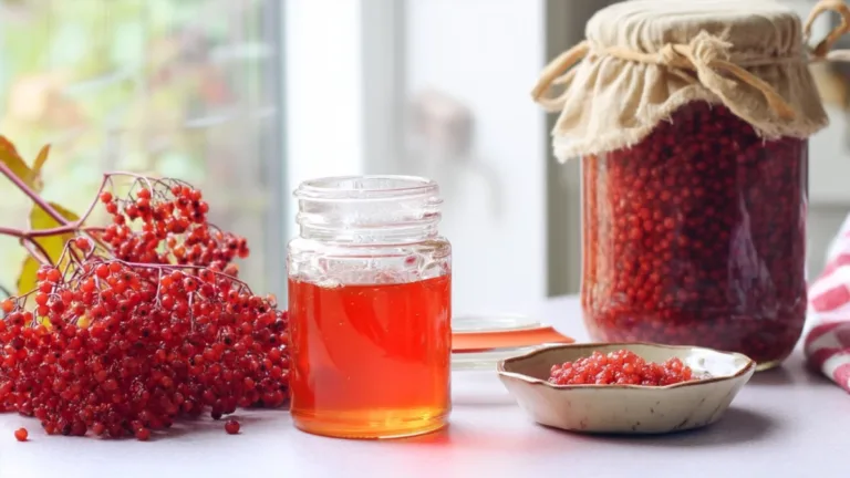 Фото блюда: Калина с медом — полезный десерт с ярким вкусом